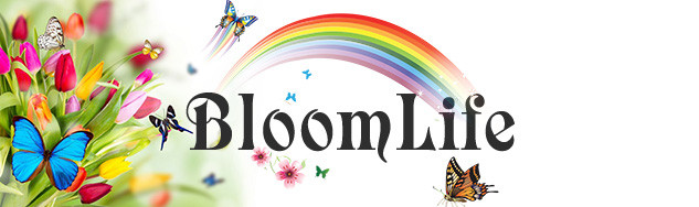 Bloomlife.ru